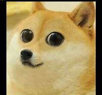 Image result for Doge Sad Logo