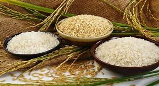 Image result for Staple Food Wheat and Rice