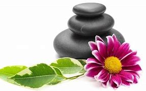 Image result for Logo Gaya Spa PNG