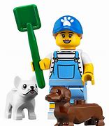 Image result for LEGO CMF 19