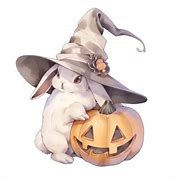 Image result for Cute Rabbit 1307