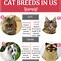 Image result for Top 10 Best Cat Breeds