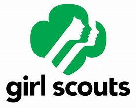 Image result for Girl King Scout Award Image