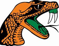 Image result for FAMU Snake PNG