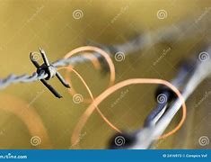 Image result for Barb Wire Line