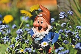 Image result for What Are Gnomes a Symbol Of