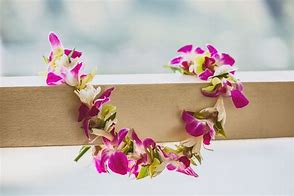 Image result for Anime Hawaiian Lei