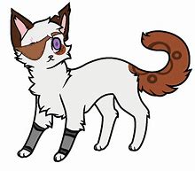 Image result for Eye Patch Cat Logo