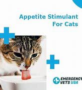 Image result for Cat Appetite Stimulant