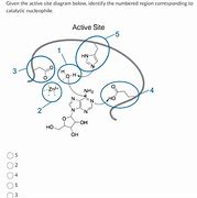 Image result for Active Site Diagram