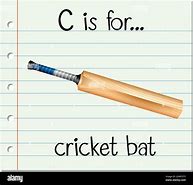 Image result for Cricket Flashcard