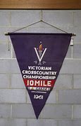 Image result for Collingwood Pennants