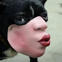 Image result for Mask for Dog Who Bites