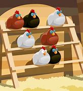 Image result for Space for Chicken Roost