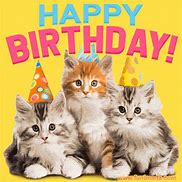 Image result for Cat Happy Birthday Puzzles