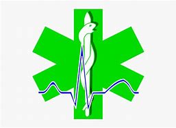 Image result for Paramedic Symbol