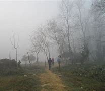 Image result for Foggy Path Landscape