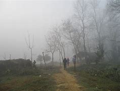 Image result for Crossing a Foggy Path