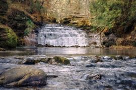 Image result for Forest River Waterfalls