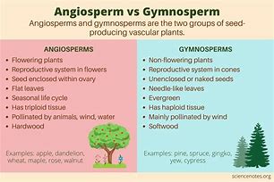 Image result for Angiosperms Landscaping