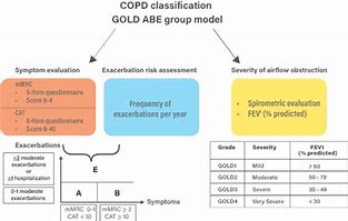 Image result for COPD Classification Chart