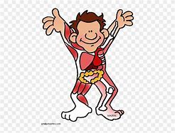 Image result for Person Cartoon Half Body