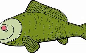 Image result for Dead Fish Clip Art