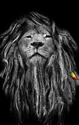 Image result for Rasta Lion with Crown Wallpaper