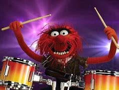 Image result for Animal Drummer