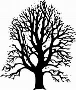 Image result for Lime Tree Clip Art