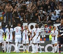 Image result for Lyon 25