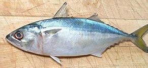 Image result for How to Cook Mackerel Indian