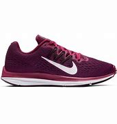 Image result for Nike Zoom Winflo X