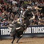 Image result for PBR No Nuts