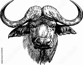 Image result for Buffalo Head Sculpture