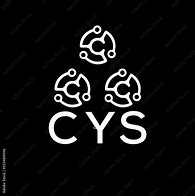 Image result for CYS Ph Logo