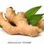 Image result for Curcuma Zedoaria