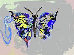 Image result for Asymmetrical Butterfly