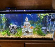 Image result for LED Planted Aquarium Lighting