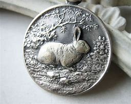 Image result for France Rabbit Medal