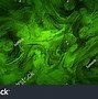 Image result for Seventies Green and Orange Swirl