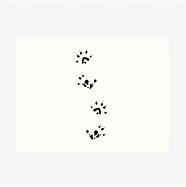 Image result for Sugar Glider Paw Print