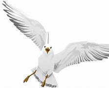 Image result for Seagull Vector Design