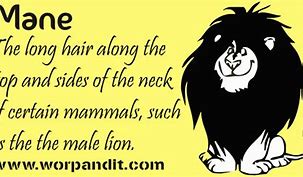 Image result for Animals Wet Mane