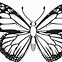 Image result for Butterfly Clip Art Black and White Outline