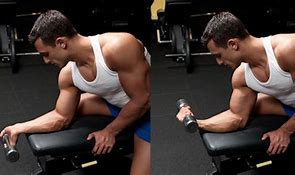 Image result for Forearm Curls