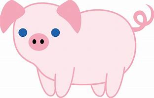 Image result for Cute Pig PNG