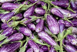 Image result for Eggplant Photo