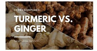 Image result for Turmeric Ginger Plant