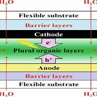 Image result for Flexible OLED Device